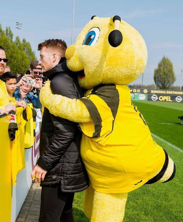 今晚犹他爵士复出首秀——法国杯节点到来，震撼外界，轮换策略成焦点的简单介绍